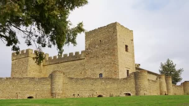 中世の石造りの城は セゴビアのペドラザの記念碑的な都市でそのタレットと — ストック動画