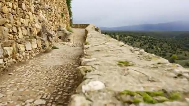 Middeleeuwse Stenen Muur Rond Oude Stad Pedraza Segovia Spanje — Stockvideo