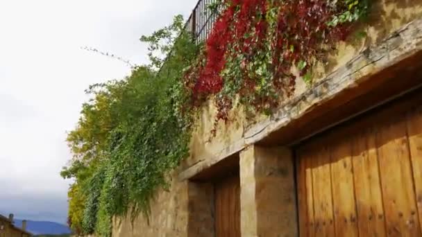 Visící Rostliny Vysoké Stromy Pohybují Větru Středověkém Městě Pedraza Segovia — Stock video
