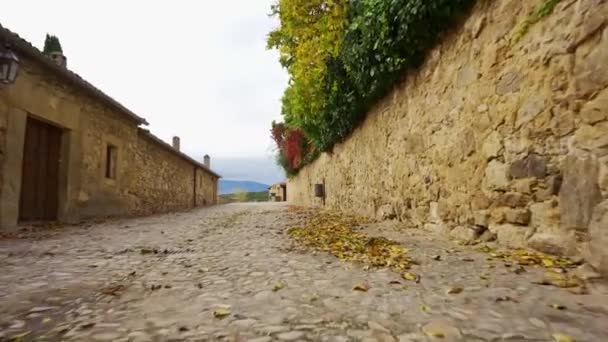 Dlážděná Ulice Starými Domy Kde Listí Hýbe Větrem Pedraza Segovia — Stock video