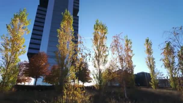 Sol Espreita Pelas Árvores Madrids Four Towers Financial District — Vídeo de Stock