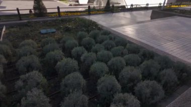 Madrids Azca finans bölgesinde çelik ve cam gökdelenler