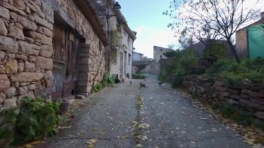 İspanya 'da bir köyde taş evler ve bir paket sokak kedisi.