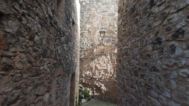 中世の村 グアダラハラのベルタワーと石の壁と教会 — ストック動画