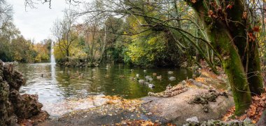 Kamu parkının göllü panoramik manzarası ve ördekler huzur içinde yüzüyor.