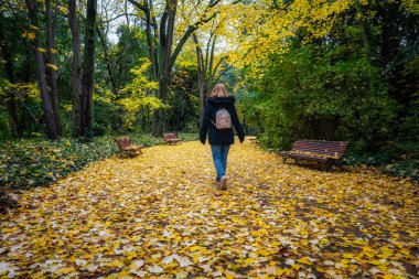 Sonbaharda ağaçlardan düşen yapraklarla kaplı bir yolda yürüyen bir kadın.