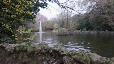 İspanya Valladolid şehrinin merkez parkında ördekli büyük bir göl.