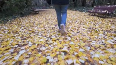 Valladolid, İspanya 'da parkın yapraklı patikalarında yürüyen sırtı olan bir kadın.