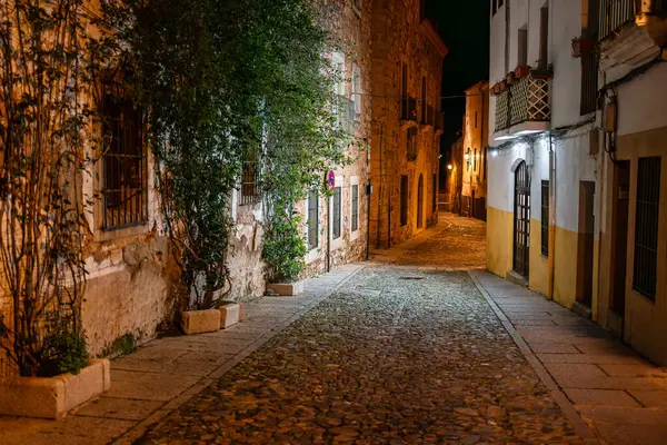 Lovely street at night with stone buildings and ivy on the walls, Caceres, Spain