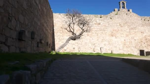 Castello Medievale Della Monumentale Città Trujillo Nella Comunità Dell Estremadura — Video Stock