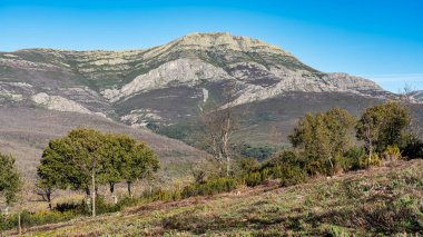 Pico Ocejon, Sierra Norte Doğal Parkı, Guadalajara, İspanya