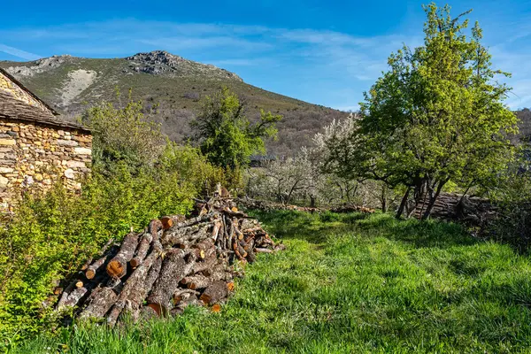 Meadow Next Stone Mountain House Castilla Mancha Spain lizenzfreie Stockfotos