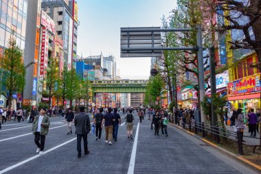 Tokyo, Japonya, 14 Nisan 2024: Arabasız bir Pazar günü Akihabara sokaklarında yürüyen turistler.