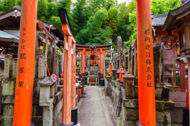 Kyoto, Japonya, 18 Nisan 2024: Fushimi Inari Tapınağı 'ndaki kırmızı kapılar