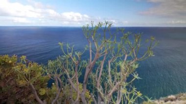 La Palma adasının panoramik manzarası kıyılarının etkileyici bakış açısıyla, Kanarya Adaları