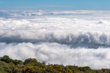 Okyanus üzerindeki bulut denizi La Palma 'dan Kanarya Adaları arasında