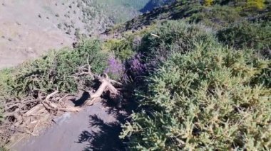 Kanarya Adaları 'ndaki La Palma adasının aşağısında bulut denizi bulunan çarpıcı ıssız ve volkanik bir manzara.