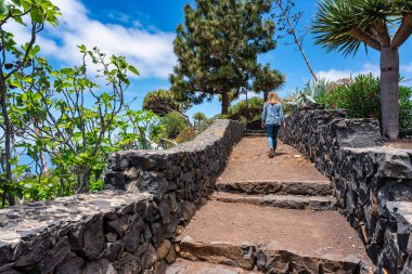 Kanarya drago ağacı La Palma gibi tuhaf ağaçların olduğu bir bahçede patikaya tırmanan bir kadın.