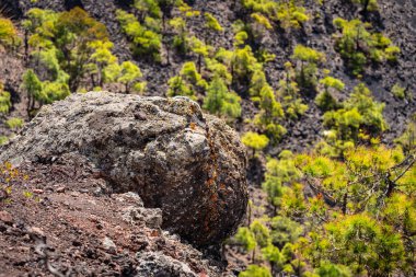 Yanardağ kraterinin yanındaki volkanik kayalar lav, La Palma, Kanarya Adaları 'ndaki deformasyondan dolayı tuhaf şekillere sahiptir.