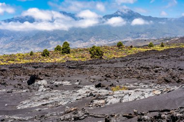 Geçenlerde İspanya 'nın La Palma adasında patlayan Cumbre Vieja yanardağının yanındaki kayalar ve volkanik küller.