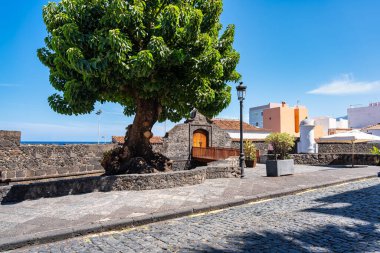 Santa Cruz de la Palma, Kanarya Adaları 'nın savunması için antik takviye