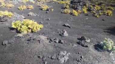Kanarya Adaları 'ndaki La Palma adasının arka planında volkanik kayalar ve kara parçalarından oluşan ay manzarası.
