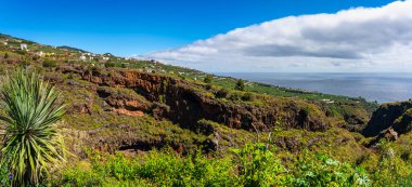 La Palma adasının kuzeyindeki kayalıklarda büyük miktarda Kanarya muzu üreten kasabalar