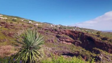 La Palma, Kanarya Adaları 'ndaki deniz kıyısındaki muz çiftliklerinin uzantısı
