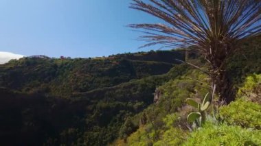 Kanarya Adaları 'ndaki La Palma adasında geniş kayalıkları ve yemyeşil bitki örtüsü olan dağlar.