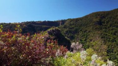 Kanarya Adaları 'ndaki La Palma adasında geniş kayalıkları ve yemyeşil bitki örtüsü olan dağlar.