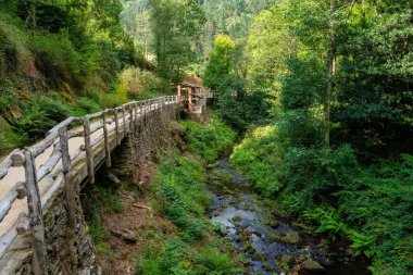 Su değirmenlerini besleyen nehrin yanındaki ormanda Taramundi, Asturias
