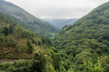 İspanya 'nın Asturias kentinin iç kısımlarında yemyeşil bitki örtüsü bulunan dağlık bir arazi.