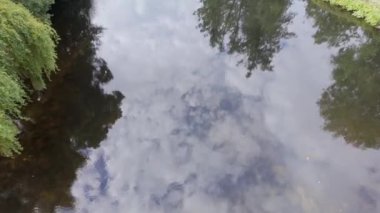 Galiçya 'nın muazzam şehri Allariz' in yanından geçen şeffaf bir su nehri.