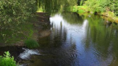 Galiçya 'nın Allariz şehrinde sakin bir şekilde geçen nehir kenarındaki coşkulu bitki örtüsü.