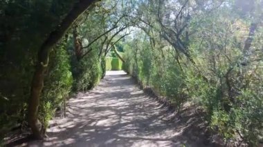 Çiçeklerle dolu bir gölete uzanan sihirli ağaç çizgili patika, Pazo de Oca, Galiçya