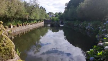 Galiçya, Pazo de Oca 'da renkli çiçeklerle süslü güzel bir gölet.