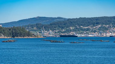 Limanı, tekneleri ve salları Galiçya 'da midye üretimi için olan Pontevedra deniz kıyıları..