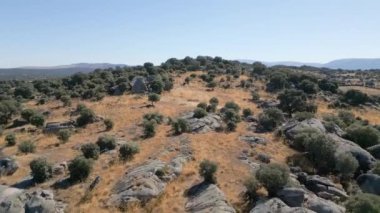 Yaz mevsiminde kurak tarlaları olan dağlık arazi, Avila, İspanya