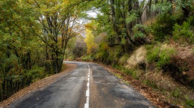 Riaza, Segovia 'da hava tahrip olmuş asfalt ile dağ yolunun panoramik görüntüsü