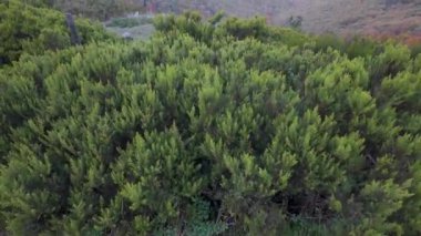 Orta İspanya, Segovia 'da büyük bir vadisi olan yeşil dağ manzarası