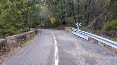 Sonbaharda altın yapraklı büyük ağaçların arasındaki dağ yolu, Segovia, İspanya