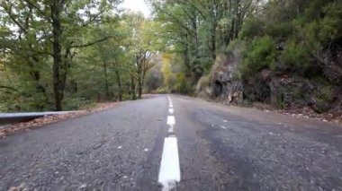 Omzunda yemyeşil bitki örtüsü olan yüksek dağ yolu ve asfalt, Somosierra, İspanya.