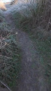 Donmuş ormandaki patika dağlarla çevrili bir gölde sona erecek, Guadarrama, Madrid