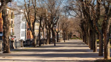 İspanya 'nın tarihi şehri Guadalajara' daki La Concordia halk parkının bulvarı.