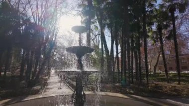 San Fransisco Parkı 'ndaki çeşme ismini verdiği manastırın yanında, Guadalajara, İspanya' da.