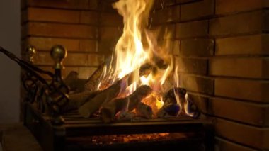Evin ısısını korumak için şömineye yanan kütükleri koyan adamın eli.