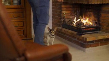 Adam ellerini şöminede ısıtıyor ve küçük köpeğini okşuyor.