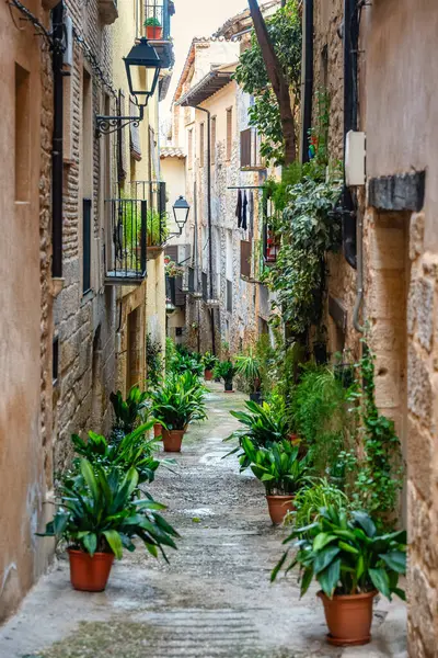 Evlerin kapısının yanında çok sayıda saksı ve çiçek bulunan dar bir sokak, La Fresneda, Teruel.