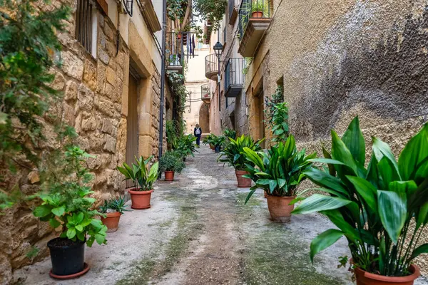 Evlerin kapısının yanında çok sayıda saksı ve çiçek bulunan dar bir sokak, La Fresneda, Teruel.