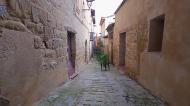 Evlerin kapısının yanında çok sayıda saksı ve çiçek bulunan dar bir sokak, La Fresneda, Teruel.